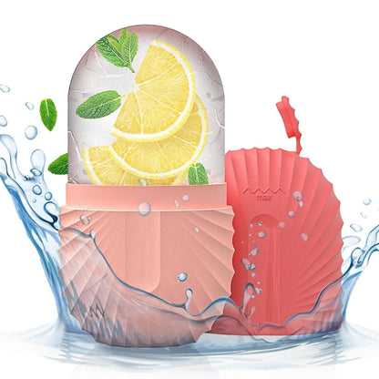 Moule à Glaçons Visage